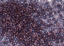 Бисер Япония круглый 15/0 10г 0201 аметист, золотое сияние