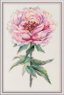 Набор для вышивания " PANNA" C- 7468 " Пион" 25. 5 х 38. 5 см